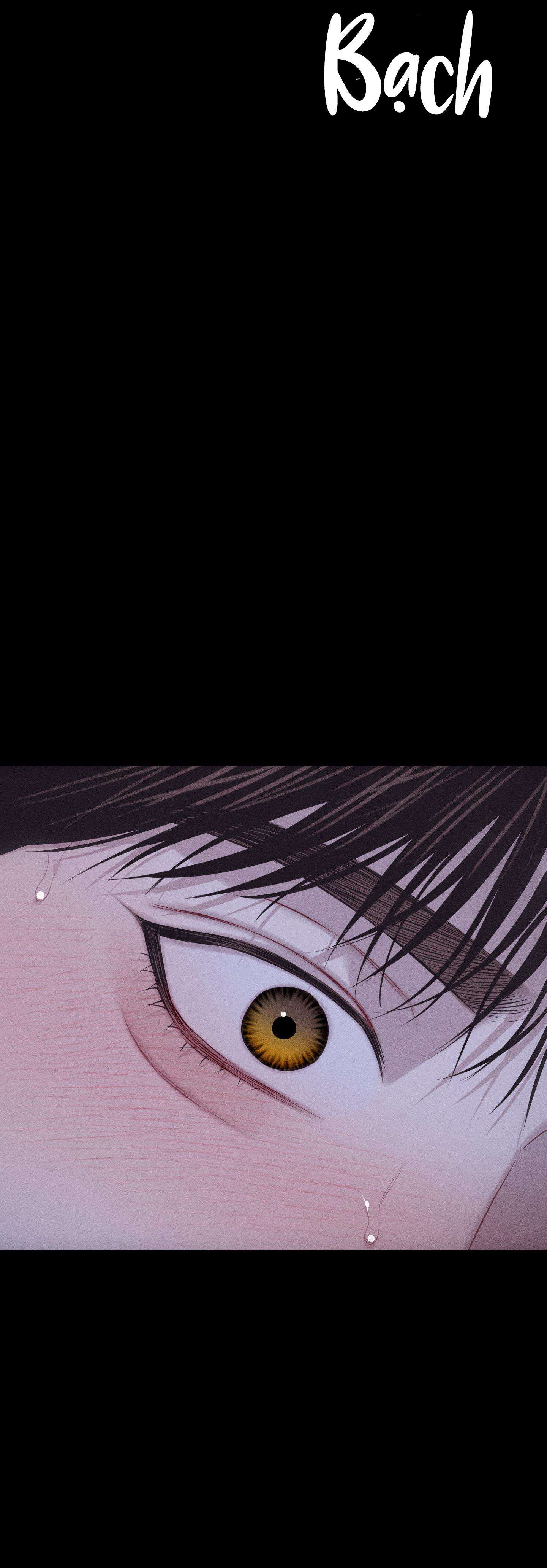 hình thái tình tan chapter 41 35