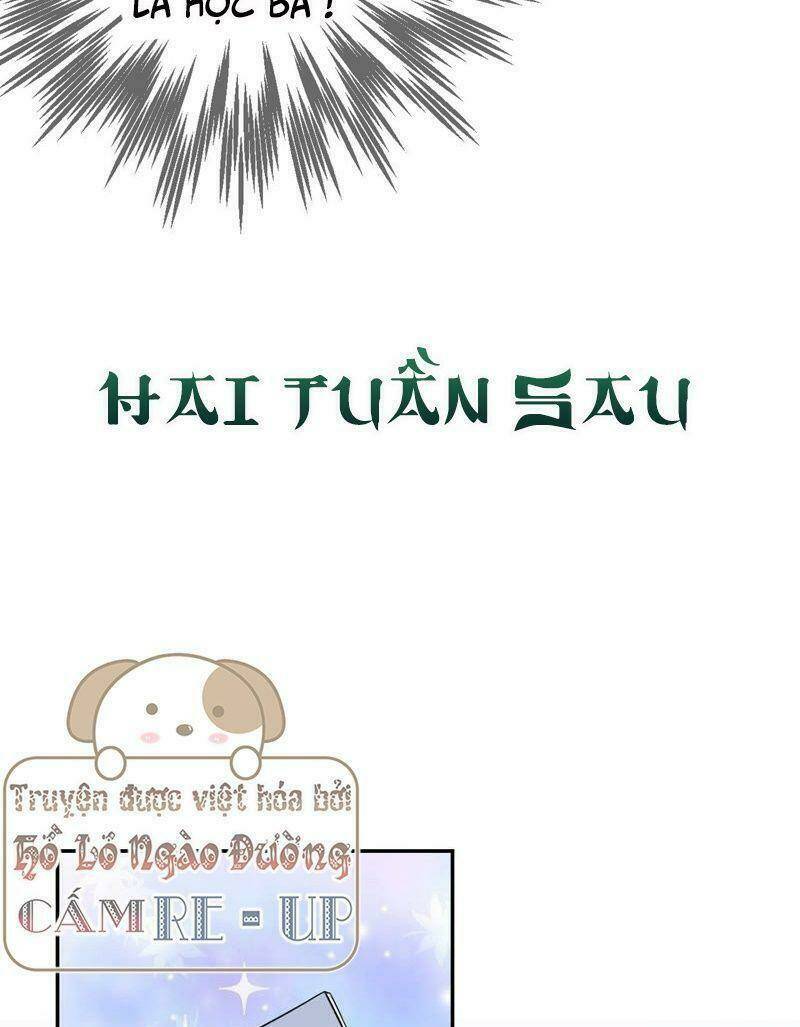 quận chúa vững vàng, thiết lập nhân vật không thể vỡ chapter 14 34