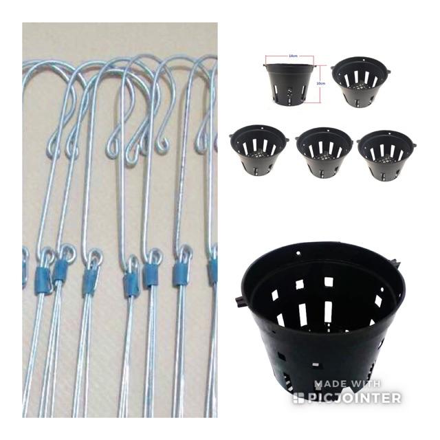 COMBO-5 CHẬU NHỰA ĐEN TRỒNG LAN PHI 14