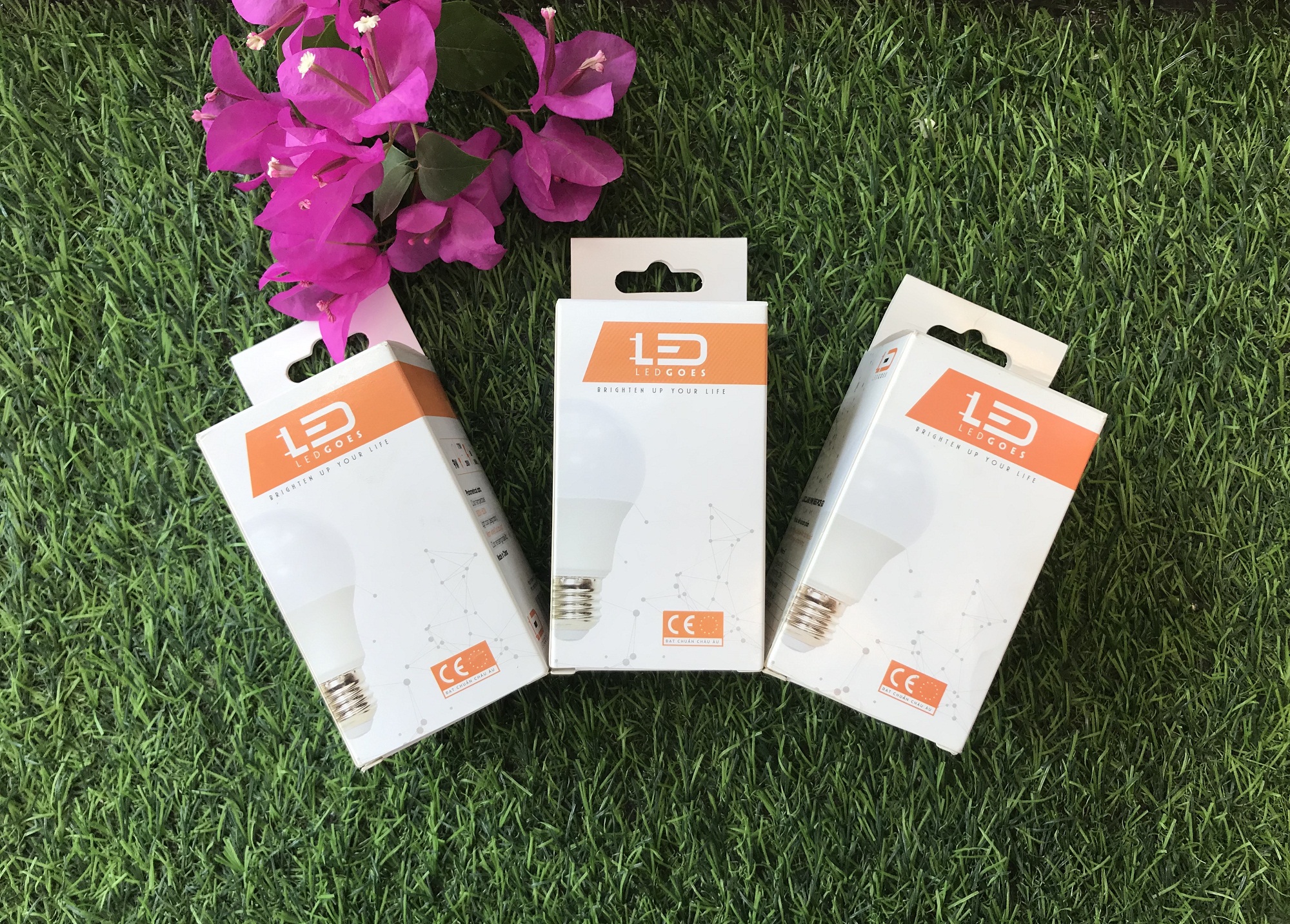 COMBO 3 Bóng đèn LED bulb tròn LEDGOES 3W