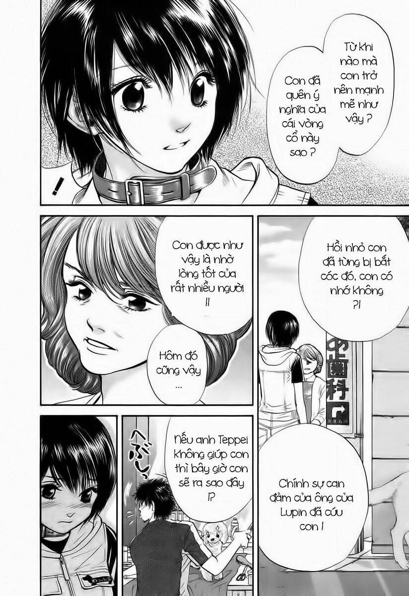 cô nàng yêu chó chapter 40 14