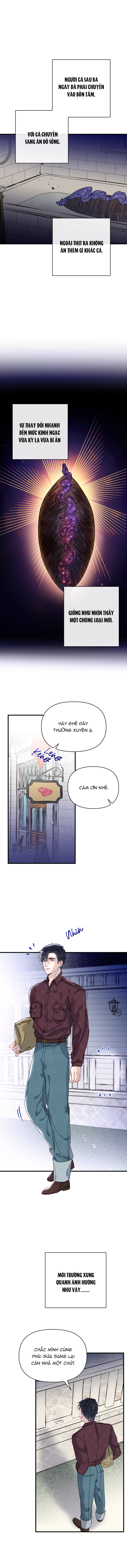 chàng tiên cá trên cạn chapter 1 23