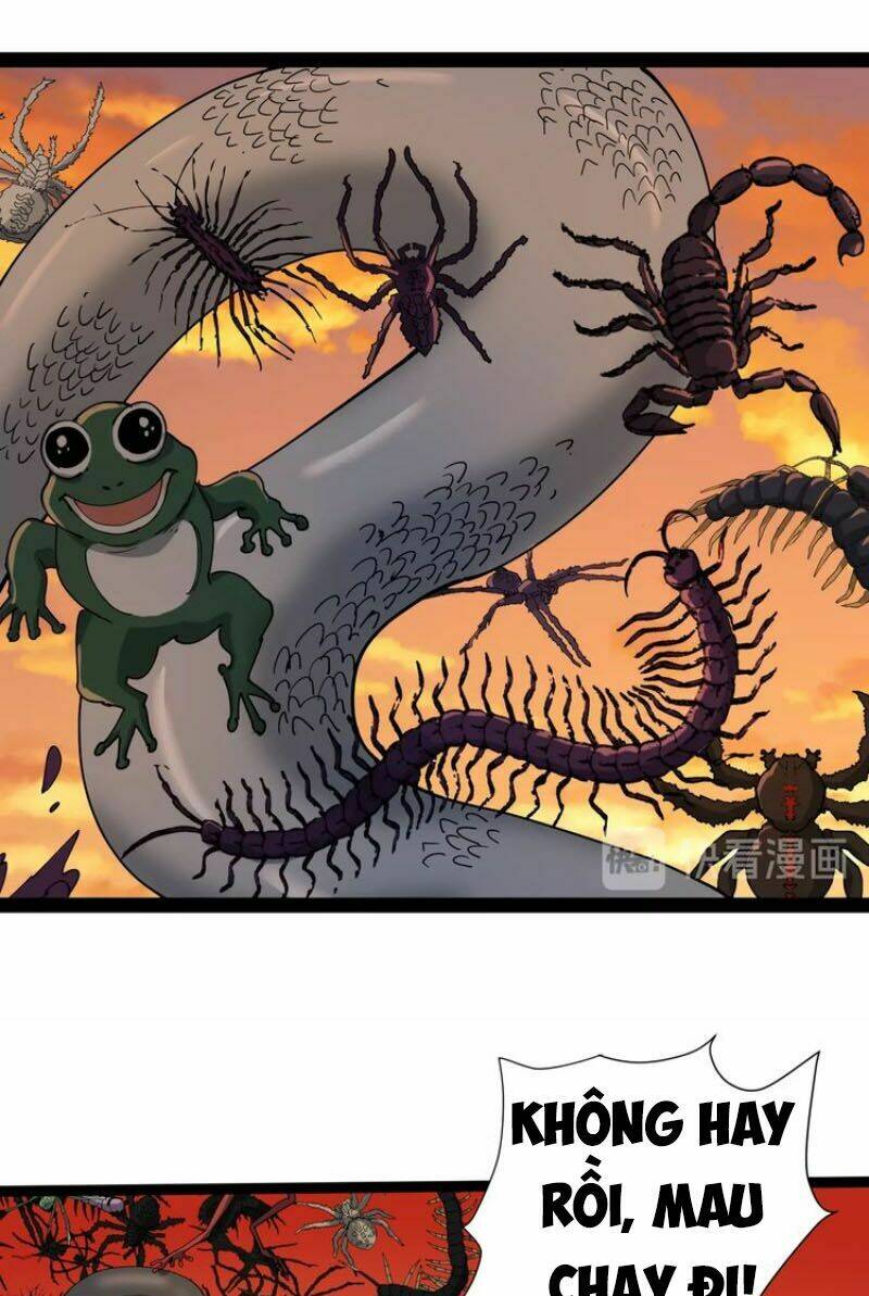 hồi xuân tiểu độc y chapter 10 63