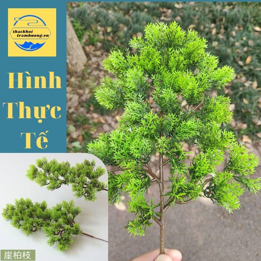 Cành tùng giả, cành thông làm cây trang trí,cụm lá tùng la hán làm cây bonsai,decor tiểu cảnh