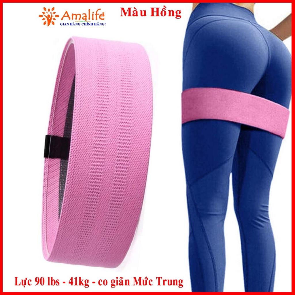 Dây Kháng Lực Đàn Hồi Tập Mông Trái Đào Mini Band Hỗ Trợ Tập Chân, Đùi, Gym Cao Cấp Chính Hãng Amalife