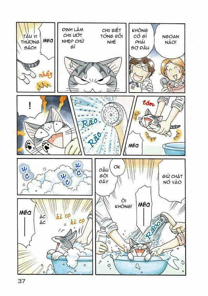 chi's sweet home chapter 115 3