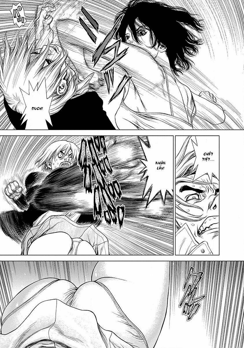 wallman chapter 21 22