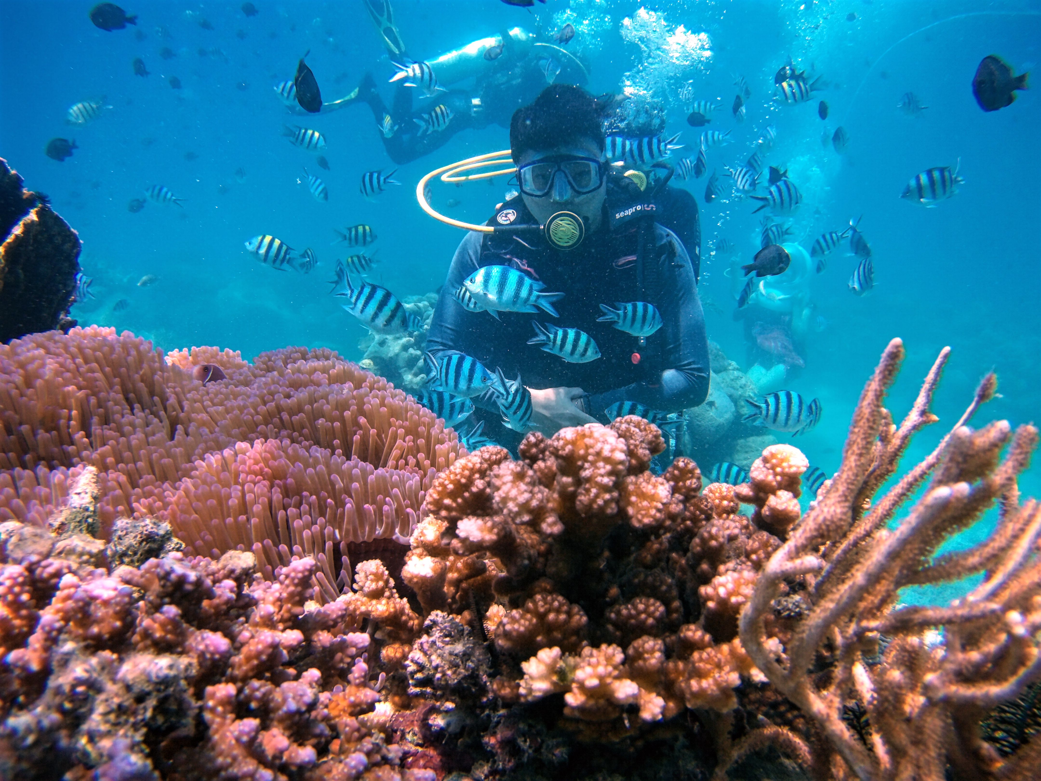 SCUBA DIVING Phi Hành Gia Dưới Đáy Đại Dương với “Bình Dưỡng Khí”