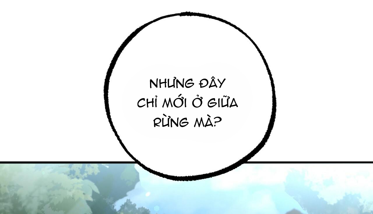 đàn thỏ của habibi chapter 48 136