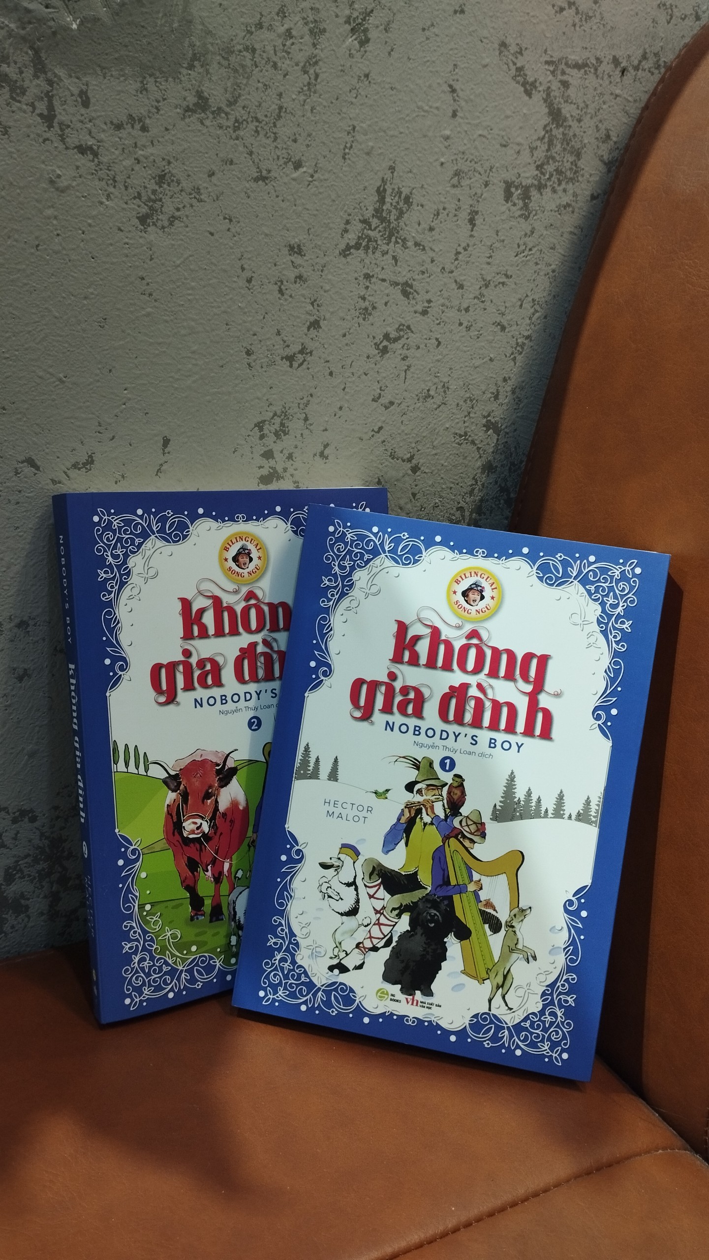 (Sách song ngữ Việt – Anh) KHÔNG GIA ĐÌNH – Hector Malot – Nguyễn Thúy Loan dịch – Hà Giang – NXB Văn học