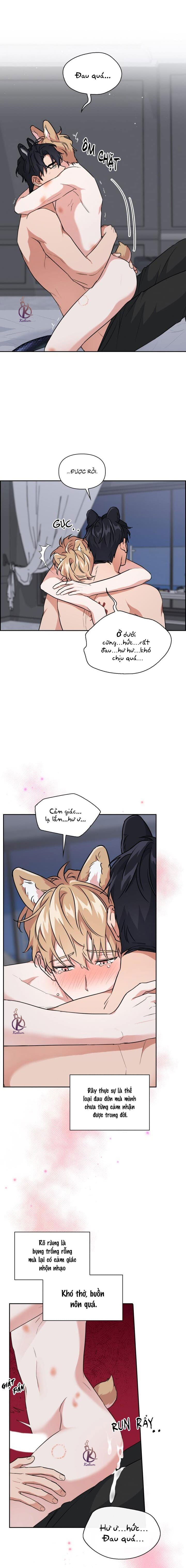 mồi nhử chapter 64 3