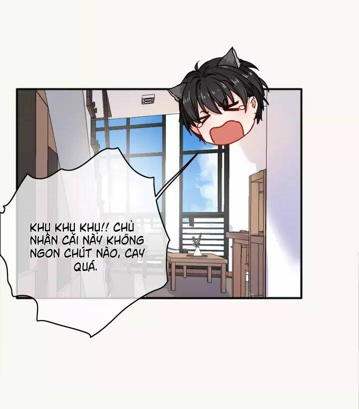 thập quang mật ngữ chapter 12 7