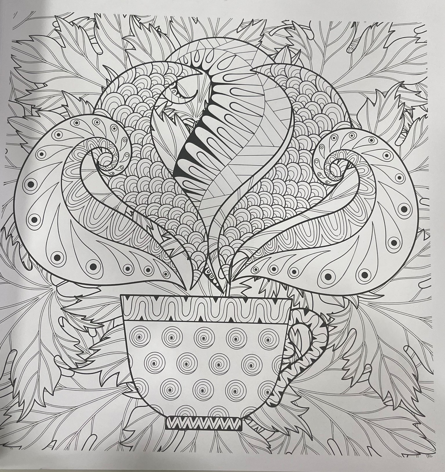 Mandala - Colouring Book For Adults