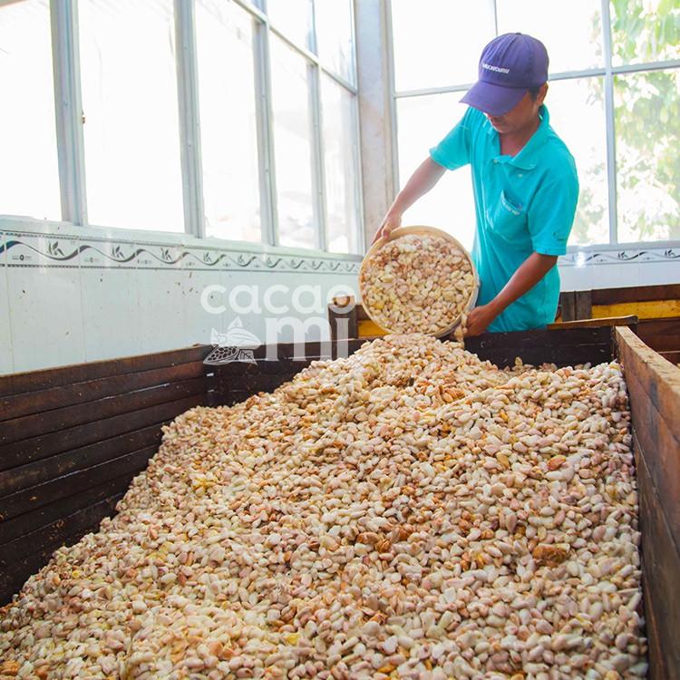 Thức uống socola - Bột ca cao nguyên chất 100% gu đậm vị Cacao Mi Premium đặc sản Việt Nam chuẩn xuất khẩu 127g
