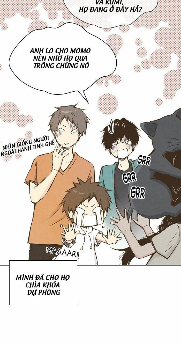 honey! honey! marry me! chapter 29 29