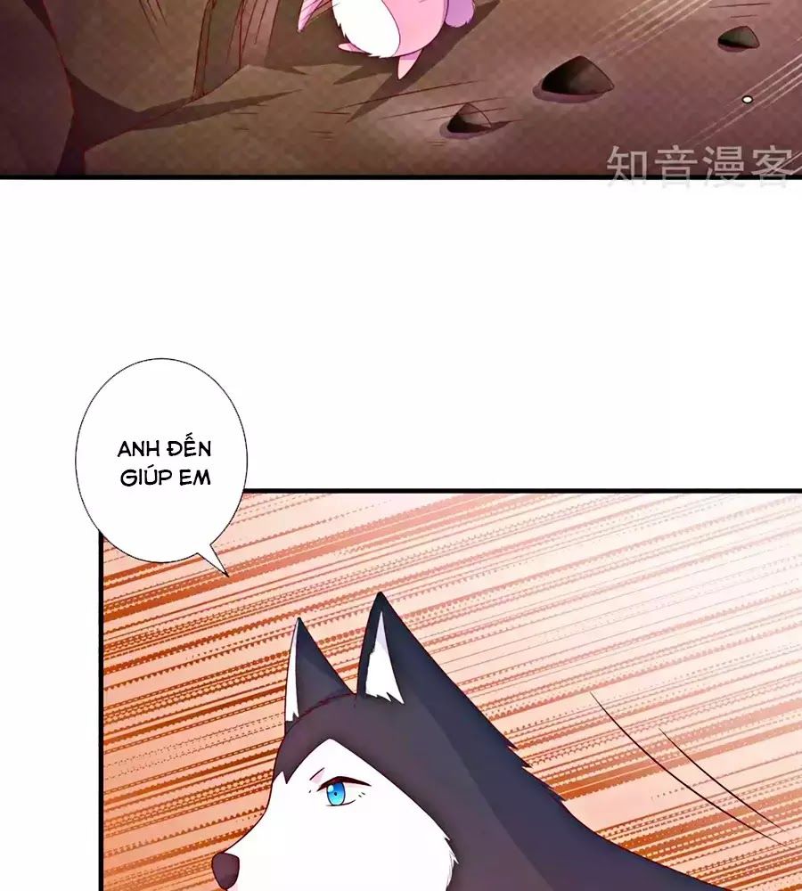 cuộc sống hào môn của vu nữ chapter 47 58