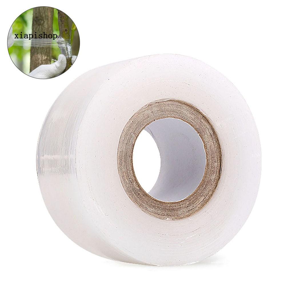 Băng keo ghép mô cành cây trong suốt an toàn tiện dụng