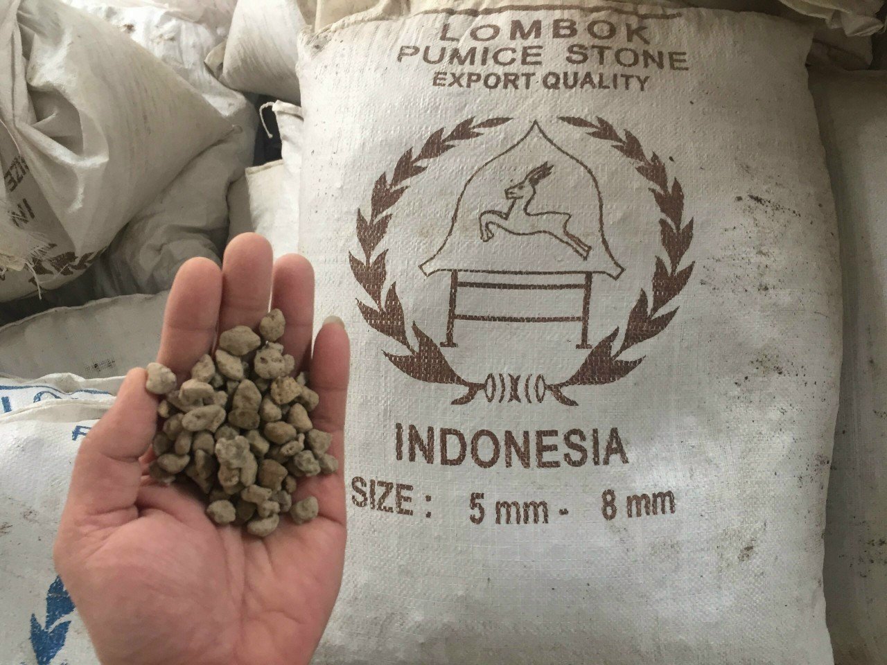 1Kg Đá Pumice Indonesia Full Size - Đá Phủ Mặt Sen Đá, Xương Rồng