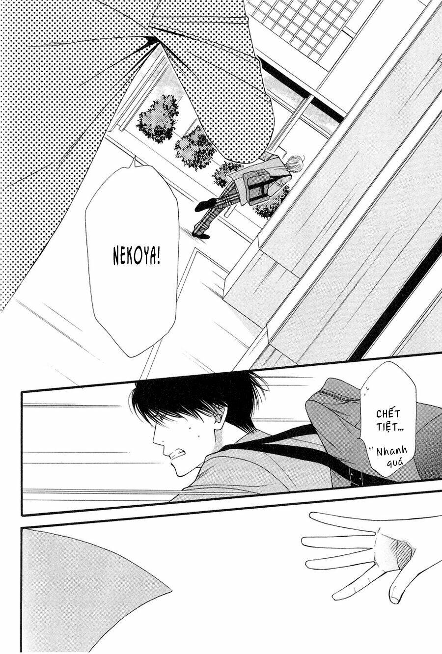 neko neko honey chapter 12 8