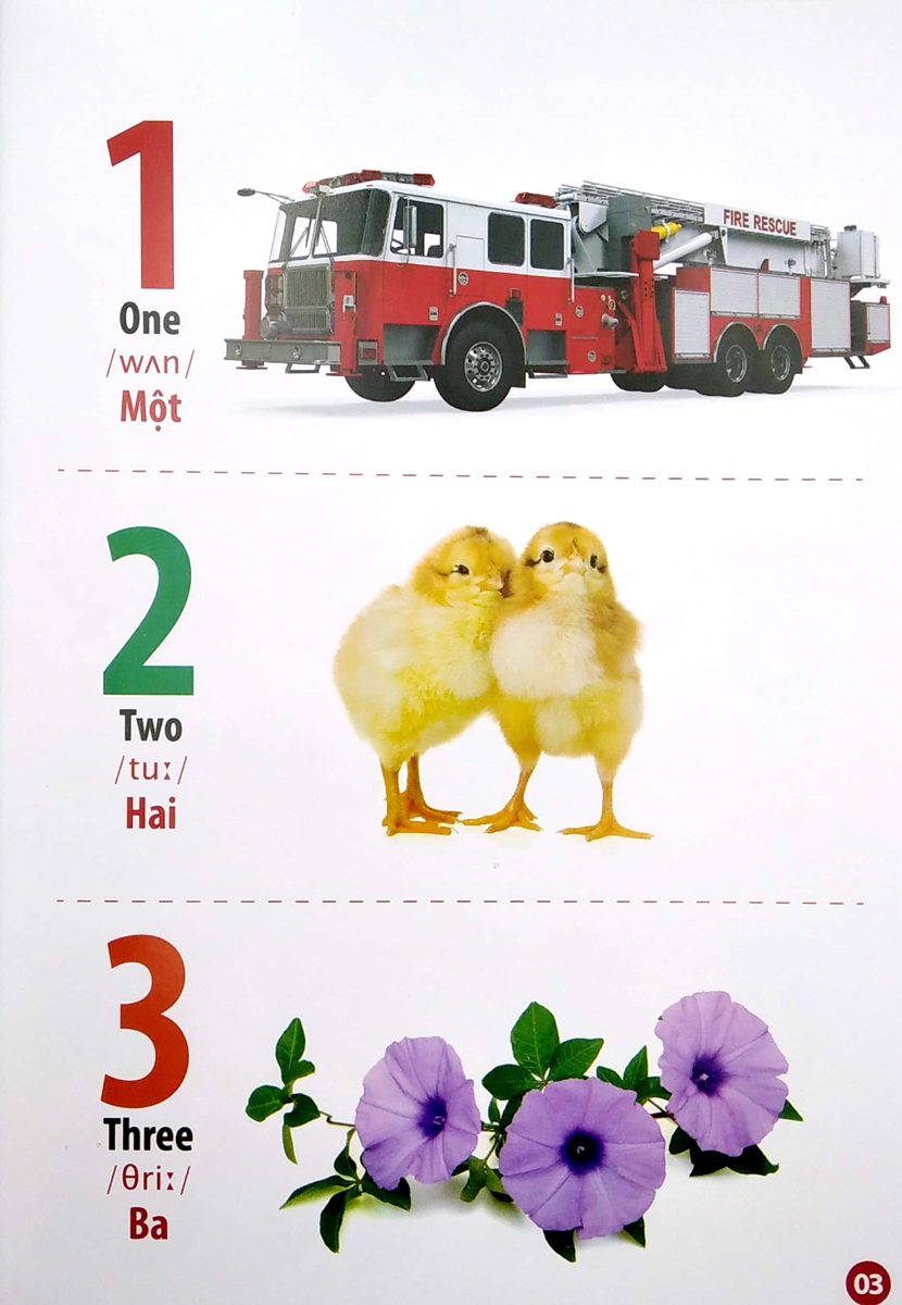 THƯ VIỆN HÌNH ẢNH SONG NGỮ ĐẦU TIÊN CỦA BÉ - CHỮ CÁI VÀ SỐ ĐẾM_VT