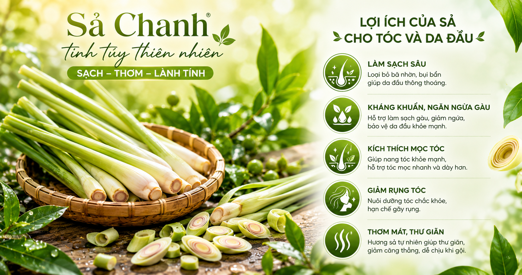 Combo Gội Xả Bồ Kết Sả Chanh thảo mộc giảm gãy rụng tóc sau sinh an toàn cho con bú