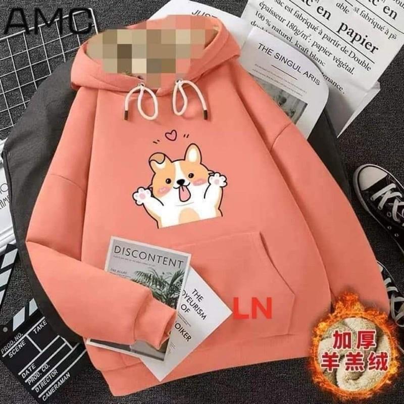 Áo hoodie cún dơ tay TH6