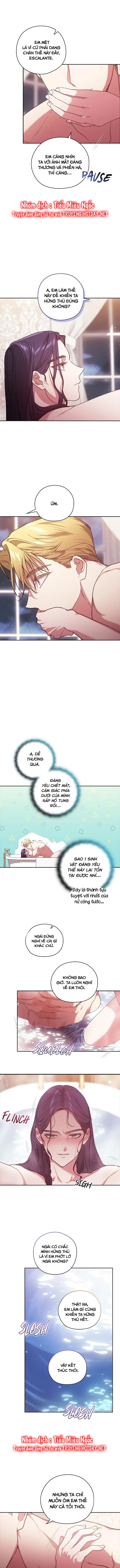 tôi mới là người quyết định cuộc hôn nhân này chapter 64 8