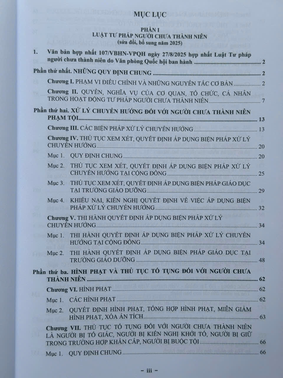 Sách Luật Tư Pháp Người Chưa Thành Niên sửa đổi, bổ sung năm 2025 (V2622Q)