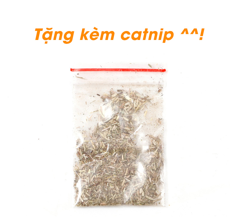 Bàn Cào Móng Cho Mèo Tặng Kèm Catnip