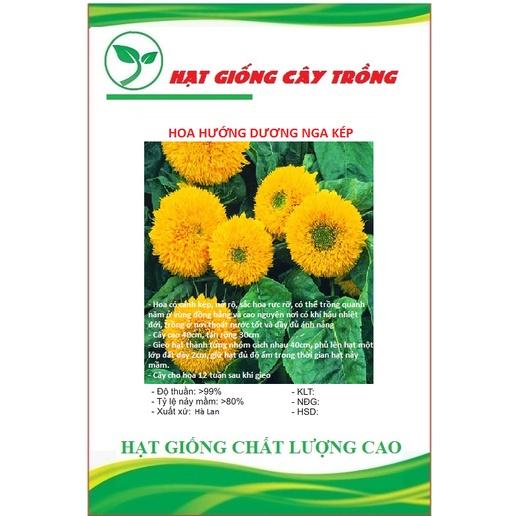 Hạt Giống Hoa Hướng Dương Nga Kép CT181 - Gói 20 hạt