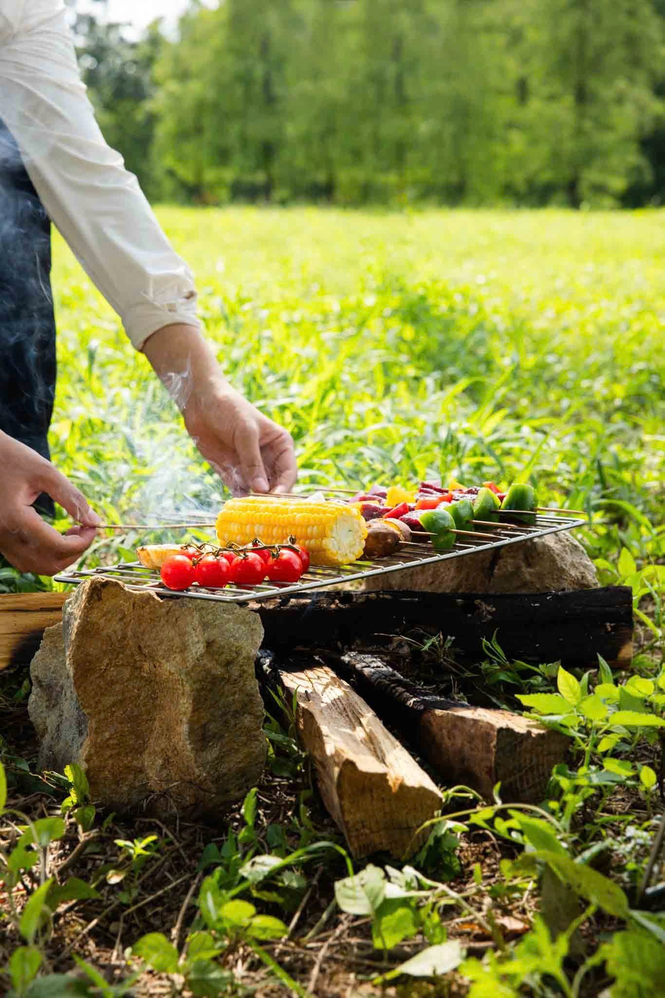 Phụ kiện vỉ nướng Titanium grill mesh Keith Ti2211