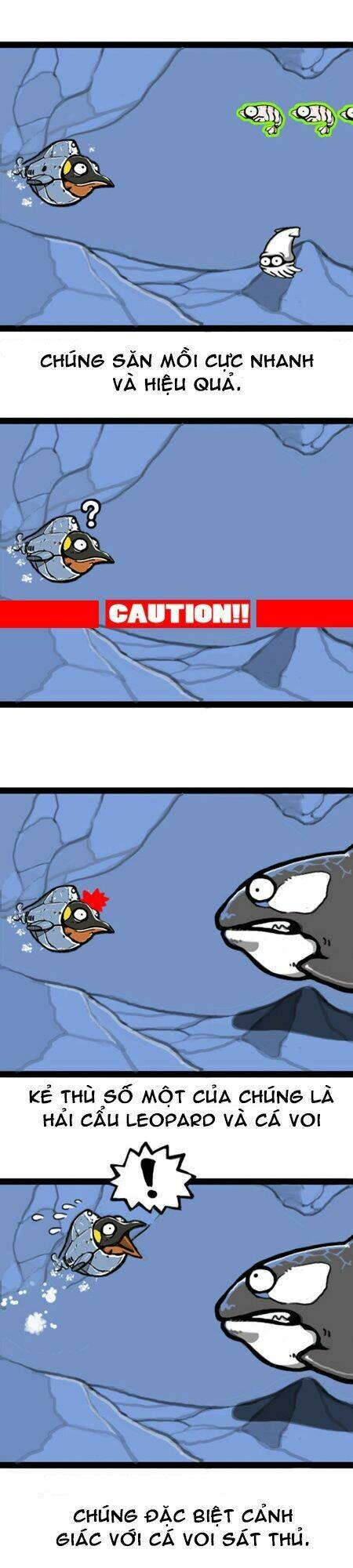 earth, human, and animal chapter 7 8