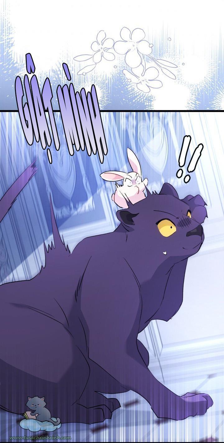 quan hệ cộng sinh giữa báo đen và thỏ trắng chapter 45 63