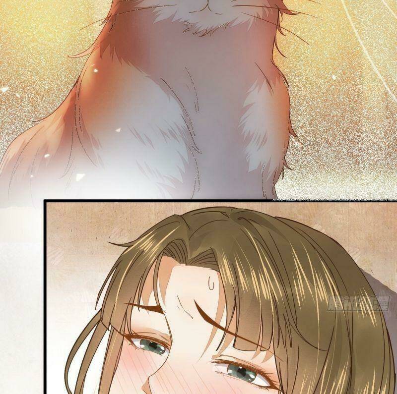 sát thủ vương phi không dễ chọc chapter 32 36