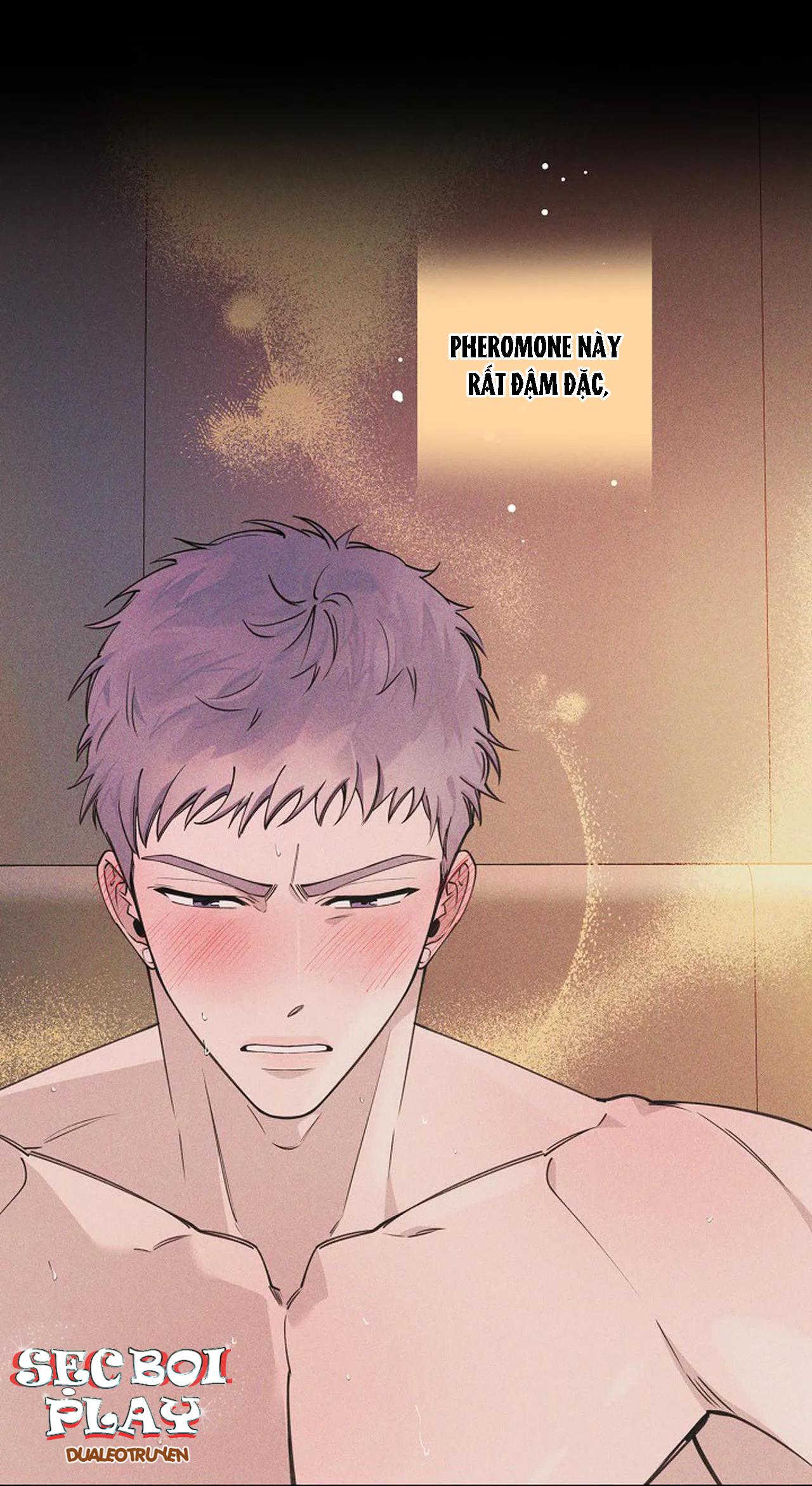 đêm dịu dàng chapter 15 20