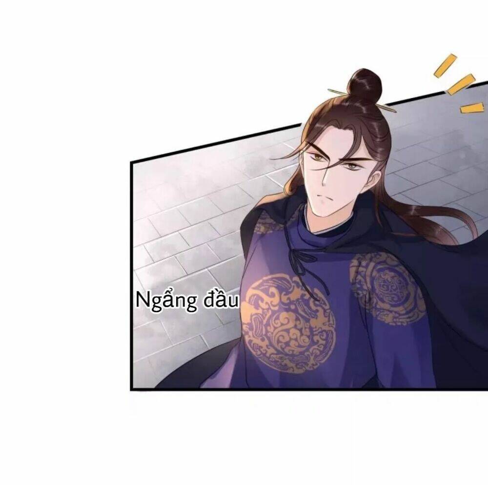 sủng phi của vương chapter 73 27