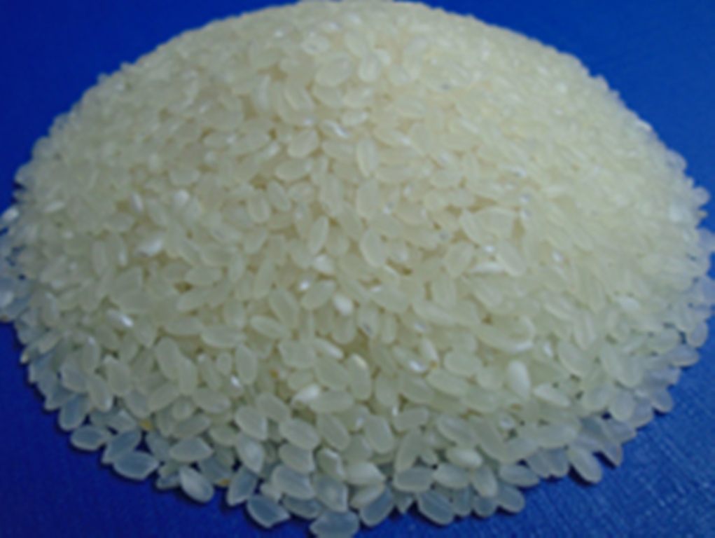 Gạo Nhật Fuji Sukura 5KG (Giống Nhật trồng tại Việt Nam)