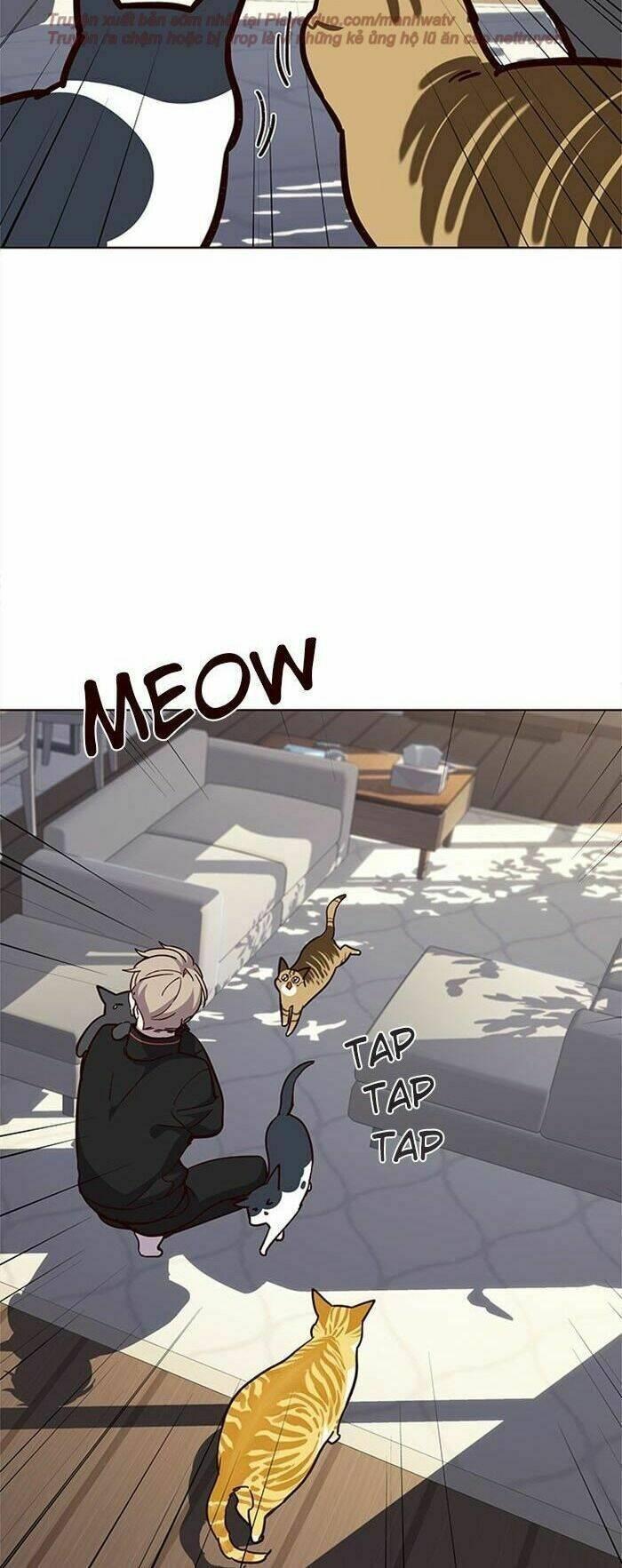 biến thân thành mèo chapter 34 45