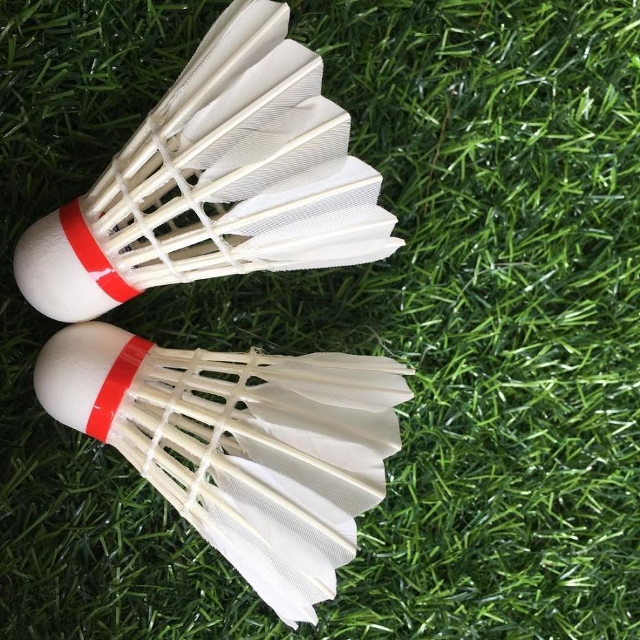 Combo đôi vợt câu lông tặng kèm hộp cầu 3 sao 10 quả