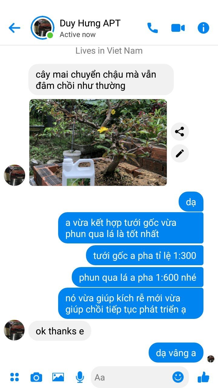 SIÊU PHỤC HỒI CÂY CTBIO - phân hữu cơ
