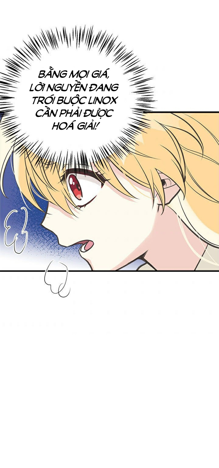 chị tôi đã nhặt về một nam chính quyến rũ chapter 31 55