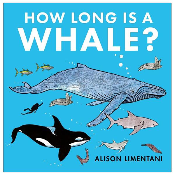 How Long Is A Whale?