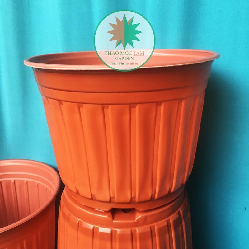 10cái Chậu trồng cây 28x20.5cm - Chậu nhựa trồng hoa, cây kiểng phù hợp các dòng hoa bụi lớn, trồng hoa hồng