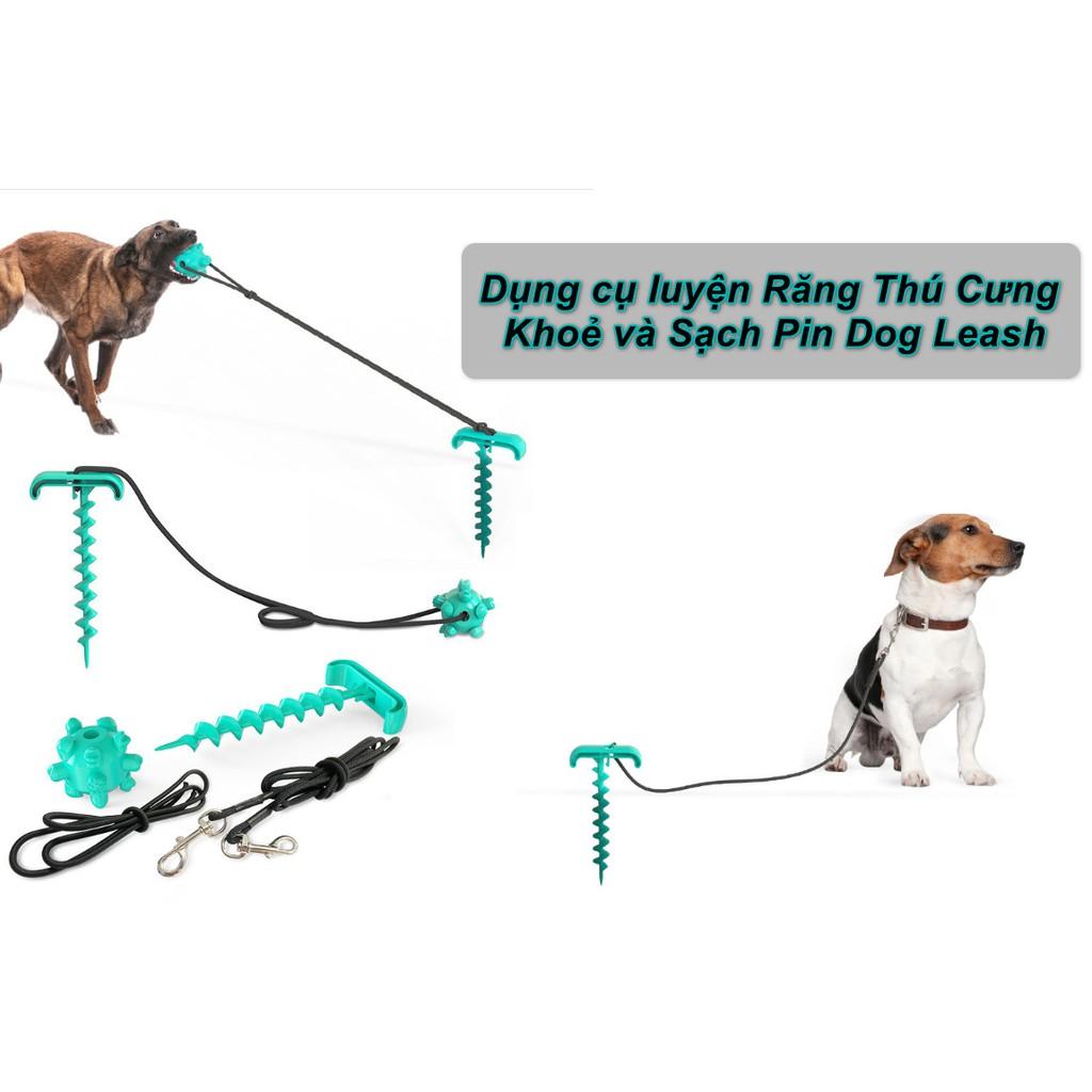 - Luyện Răng Thú Cưng Khoẻ và Sạch Pin Dog Leash