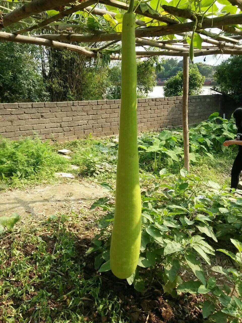 độc phi thần y quá kiêu ngạo chapter 80 57