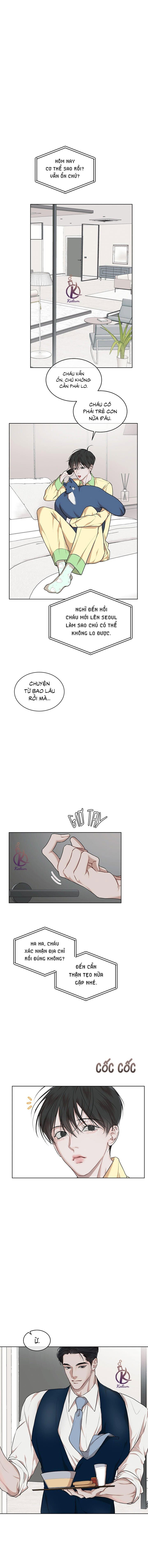 hình thái khởi sinh chapter 74 1