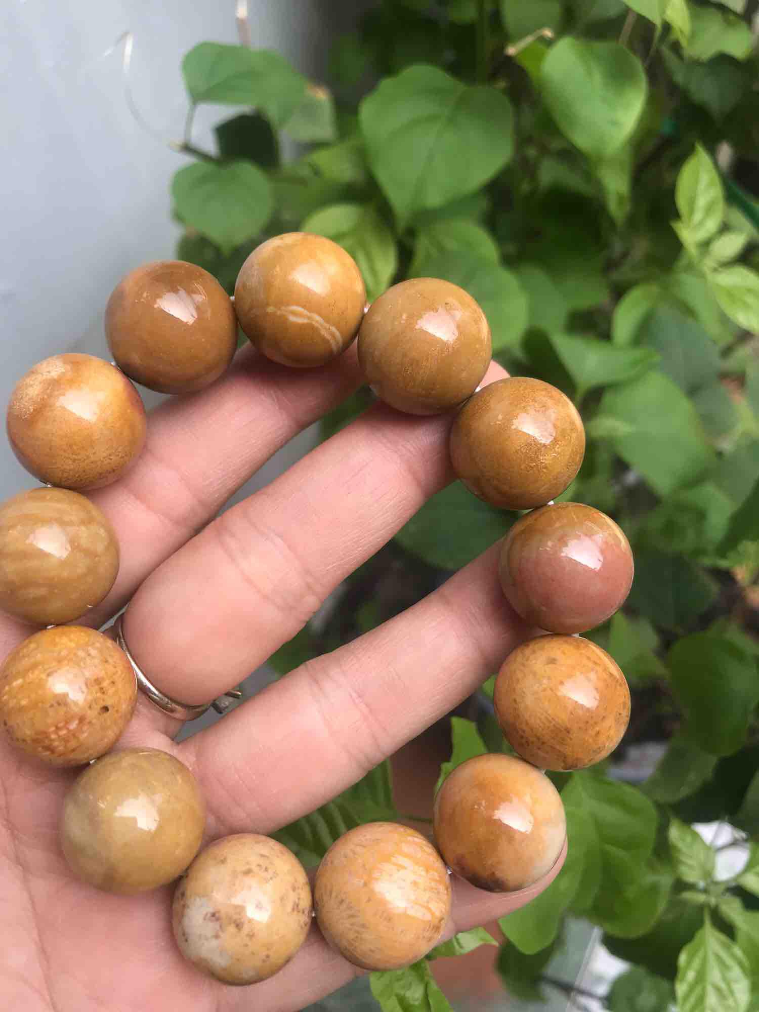 CHIẾC VÒNG SAN HÔ HOÁ THẠCH 16ly NAM ĐEO ĐẸP