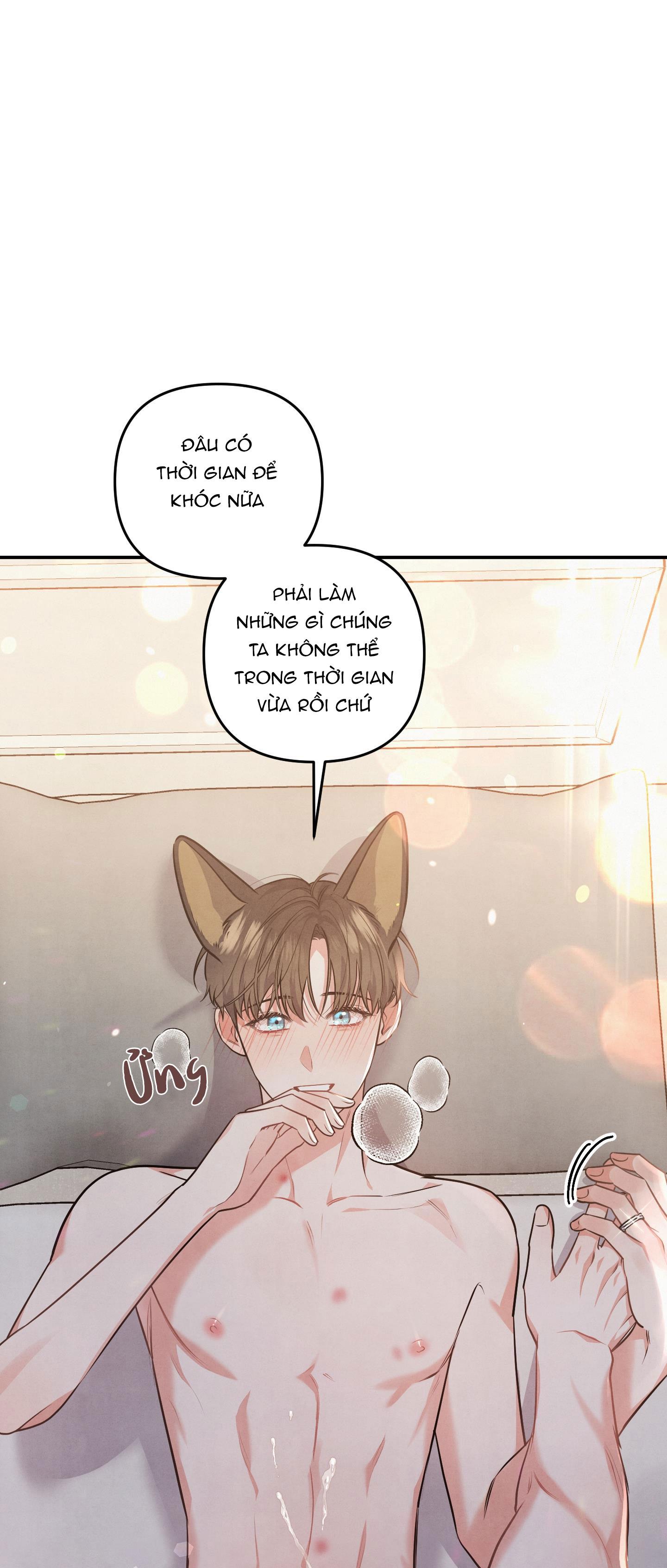 mối quan hệ ngu ngốc chapter 36 36