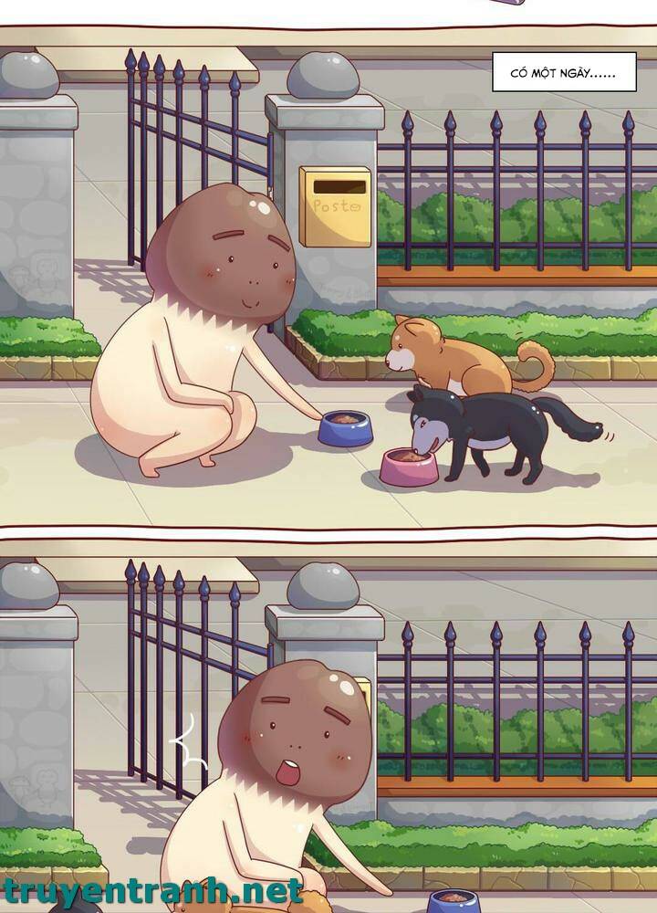 cây nấm kì khả chapter 6 3