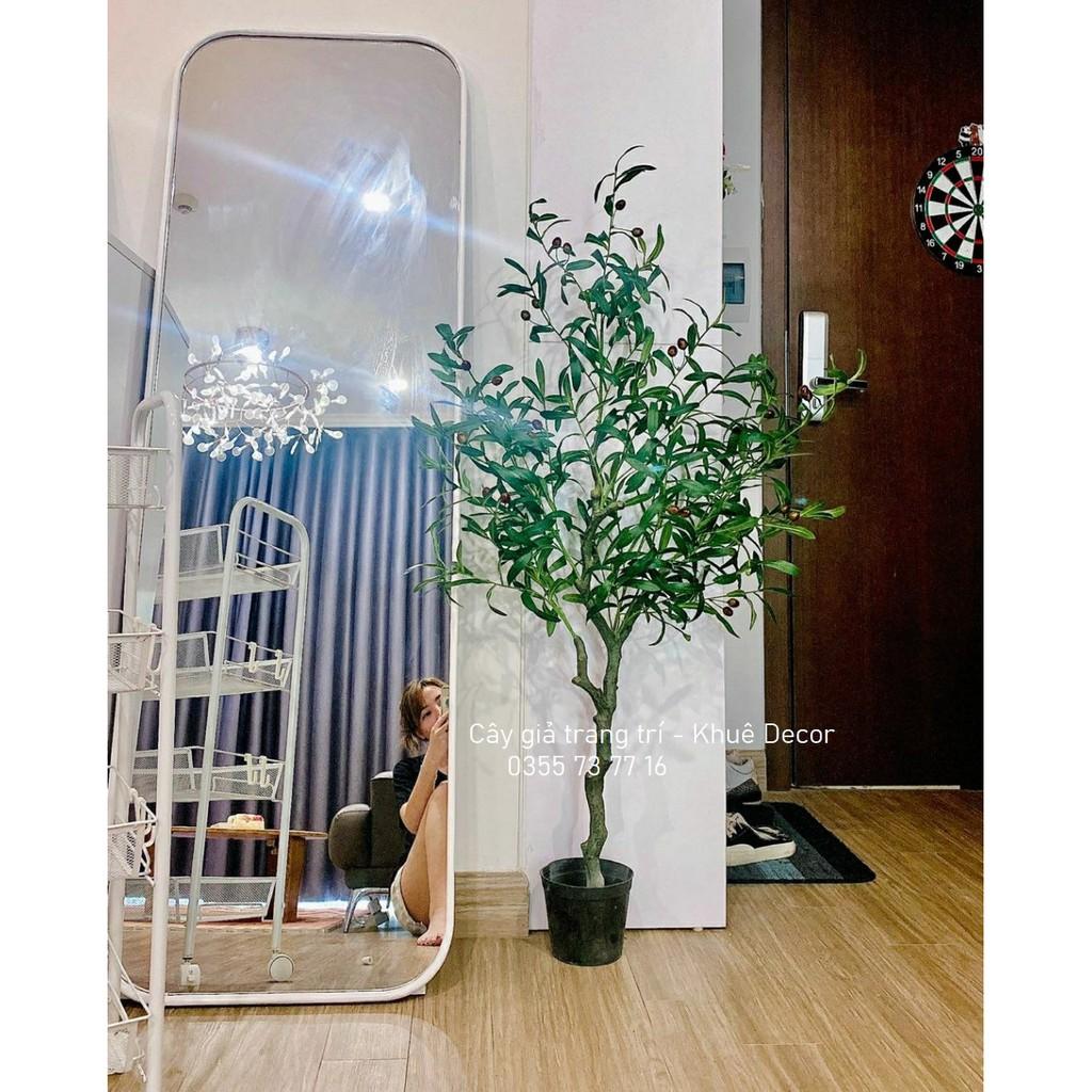 Cây giả - Cây ô liu 1m3 - Hàng cao cấp - Loại 1